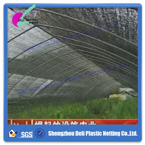 Shade Net