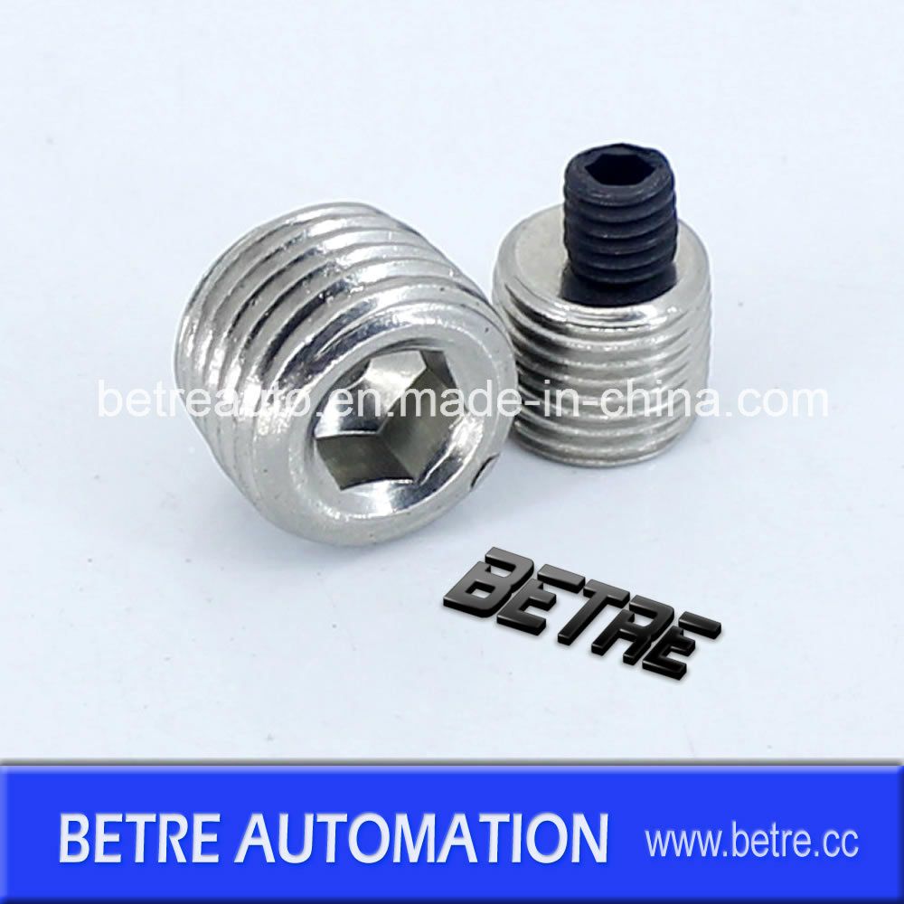 Series D Plug D-06