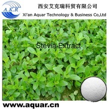 Good Market on Stevia Extract / Natural Sweetener Stevia Extract / High Quality