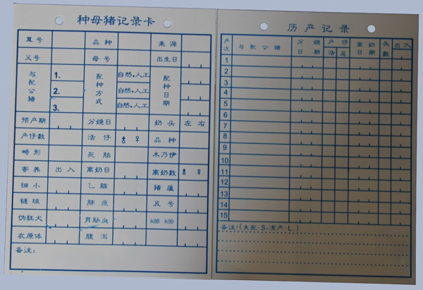 Sow Record Card