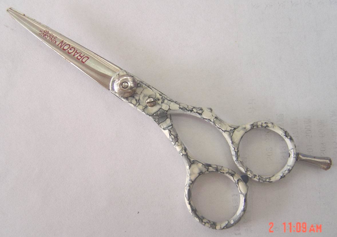 Plastic Scissors (SJX-60)