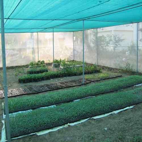 Anti-Insect Netting for Agriculture Greenhouse