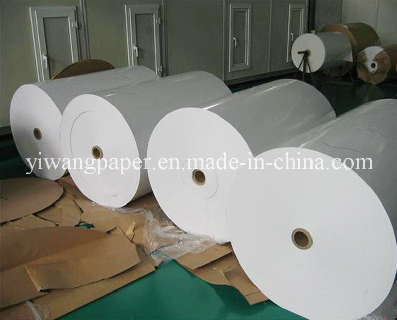 Single PE Coated Paper for Paper Cup