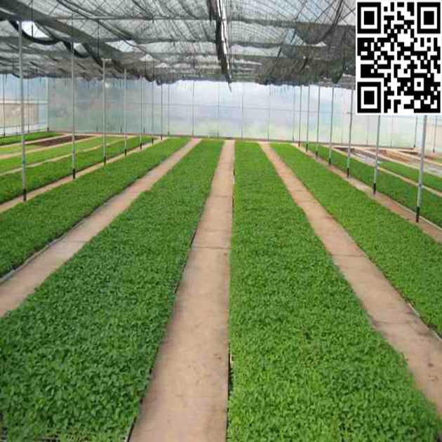 Meyabond HDPE Anti-Insect Net with UV Treated for Greenhouse