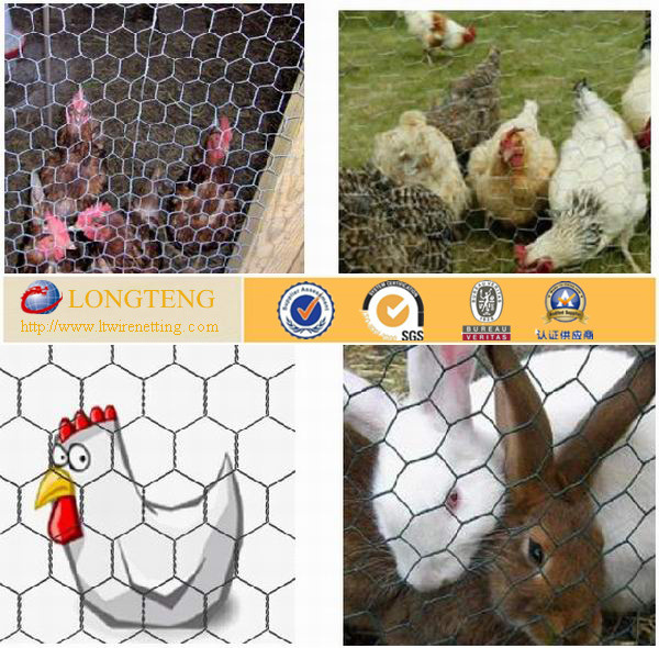 1/4'' Green Poultry Wire Netting Roll