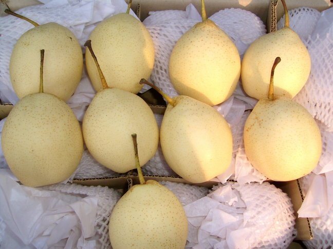 2012 Fresh Ya Pear