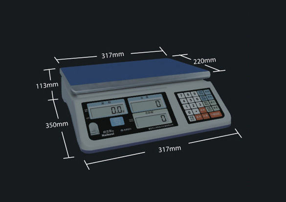 CH Series Counting E-Scale