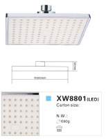 LED Shower Head (XW8801)