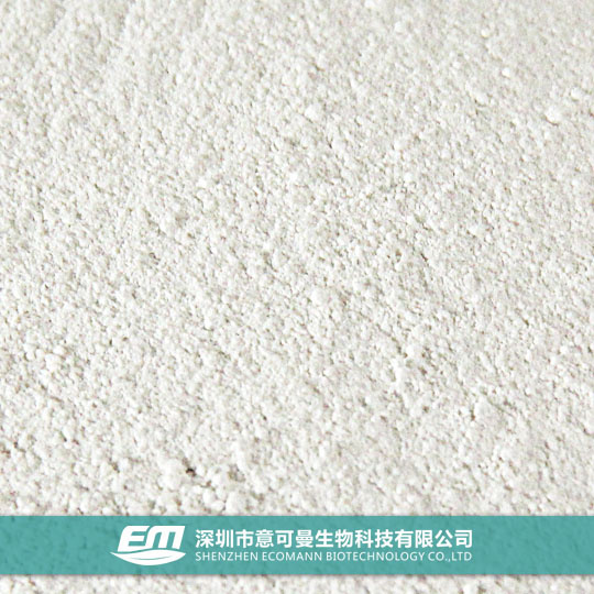 Modified PLA Biodegradable Plastic Resin for 3D Printing