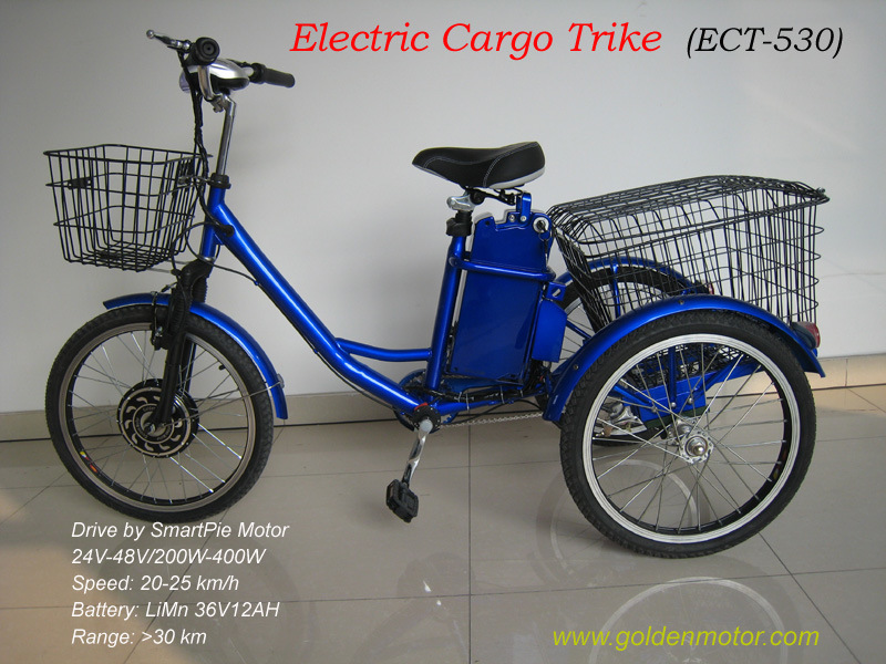 Electric Cargo Tricycle with CE