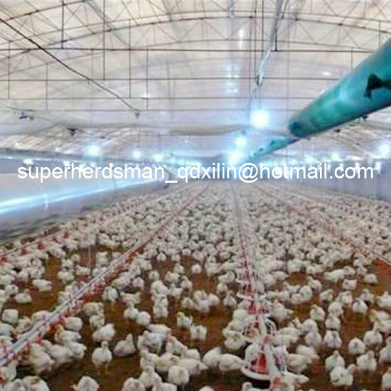 Poultry Farm Equipment for Broilers