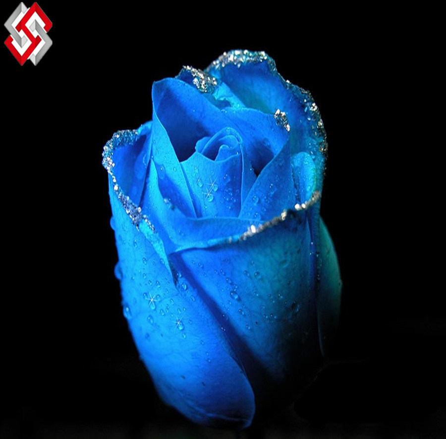 Artificial Beautiful PU Material Real Touch Rose Flower