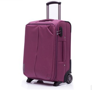 Fashion and Cute Leisure Travel Boarding Luggage