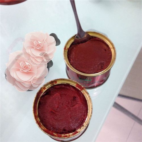Canned Tomato Paste in Different Packings