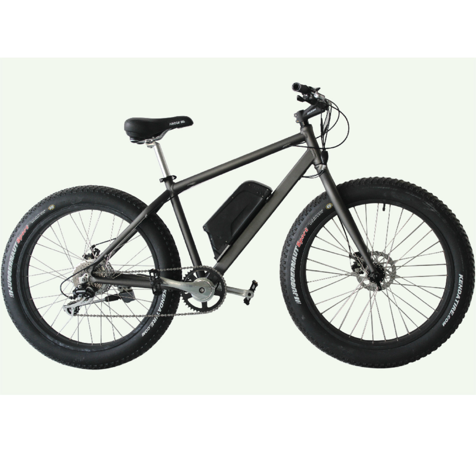 Electric Fat Tire Bicycle, Beach Cruiser, Snow Bike (JB-TDE00Z)