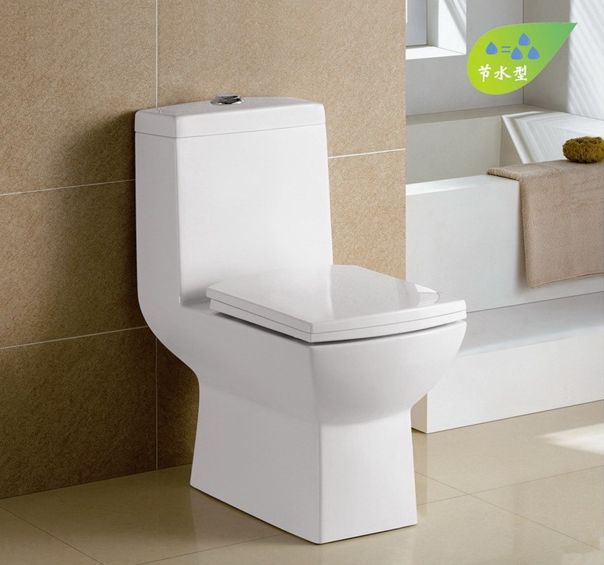 Water Saving Toilet CE-213