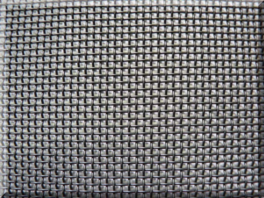 Stainless Steel Fly Net