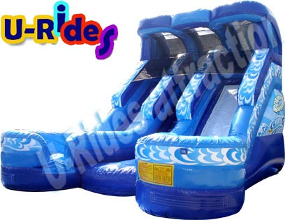 Doubule Water Slide with Double Pool