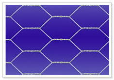 Hexagonal Wire Mesh
