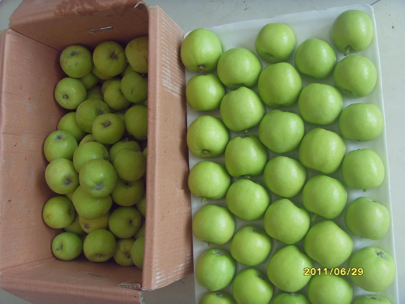 Green Apple