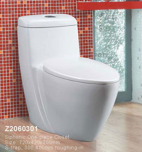 S-Trap Toilet (Z2060301)