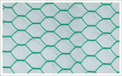 Hexagonal Wire Mesh