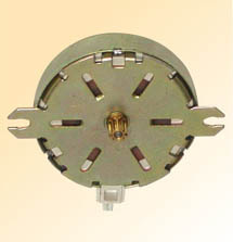 Synchronous Motor (47TYZ)
