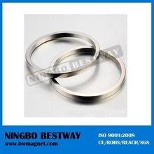 Sintered Small Permanent NdFeB Magnet Ring