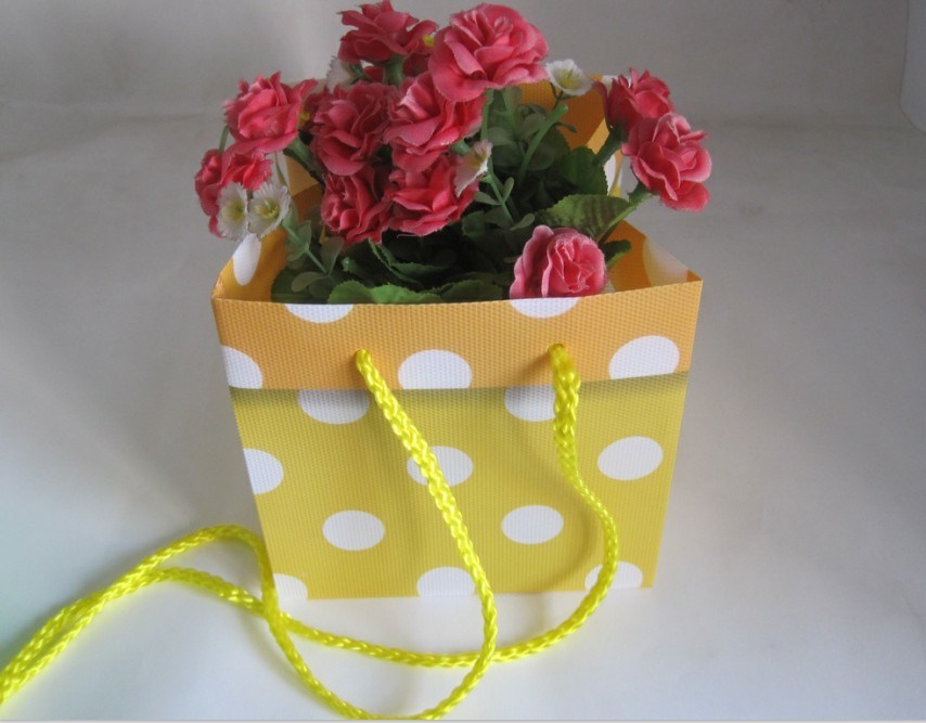 Hot Salse European Draagtas Dots Flower Carry Bag for Carrying Plants (SW13071700)