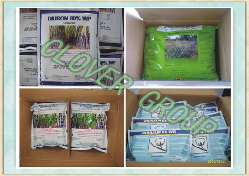 Herbicide Diuron (50%SC, 80%SC, 50%WP, 80%WP)