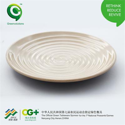 Round Plate Size Plate Biodegradable Plate Eco-Friendly Plate