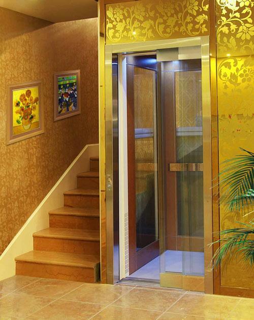 Delfar Home Elevator