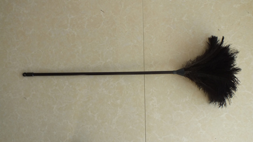 Feather Duster