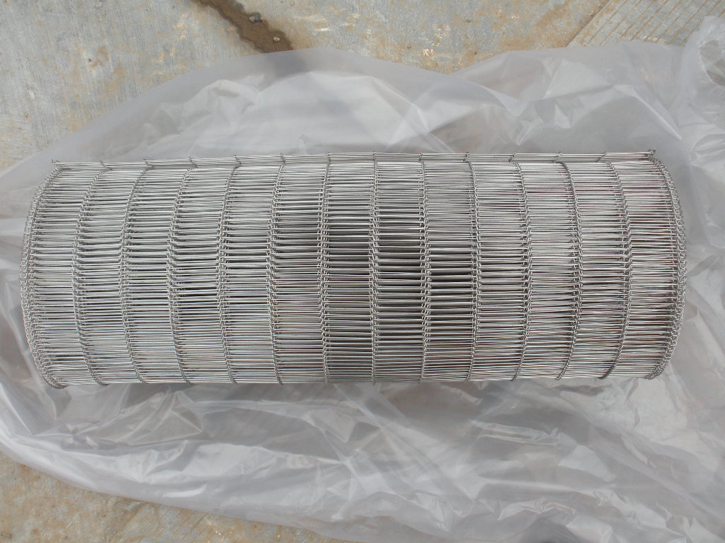 Conveyor Wire Belt