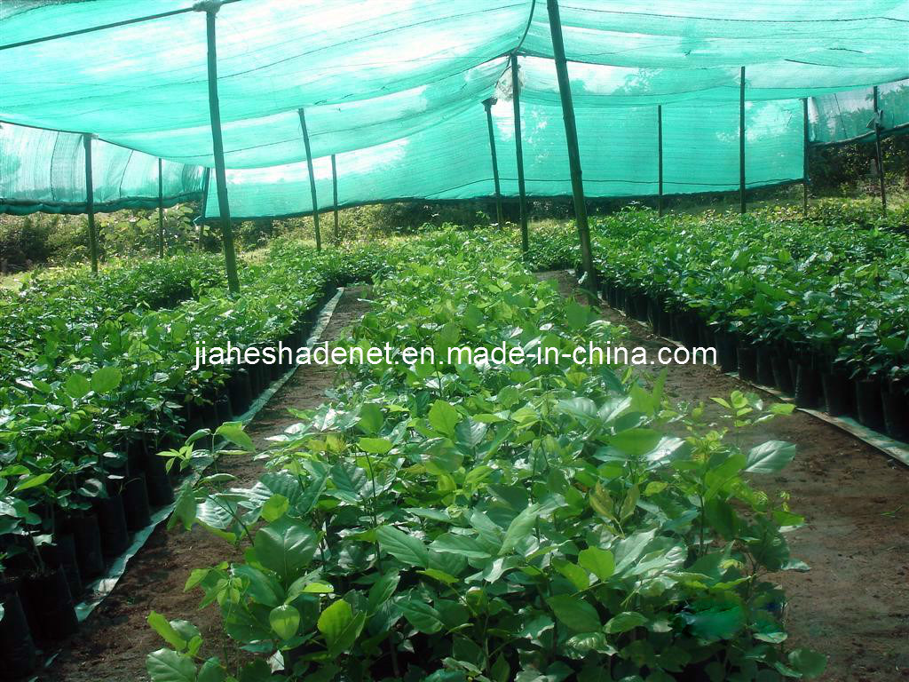 Agricultural Shade Net, Shade Net