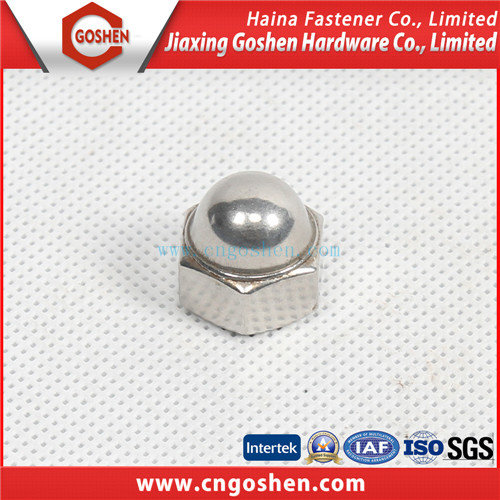 Ss304 Hex Cap Nut / DIN986, DIN917 Cap Nut M10