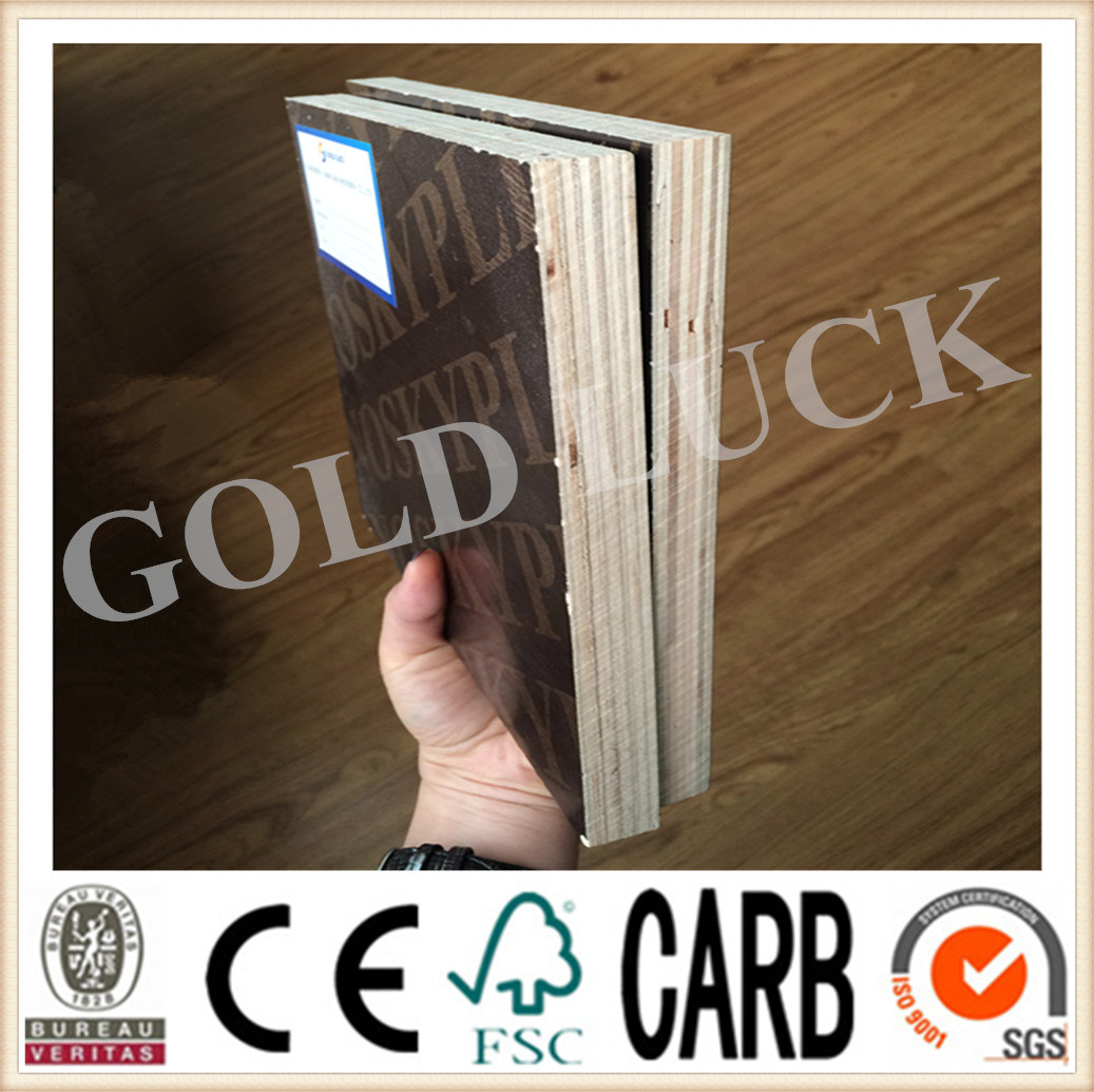 Qingdao Gold Luck Film Faced Plywood Construction Splints