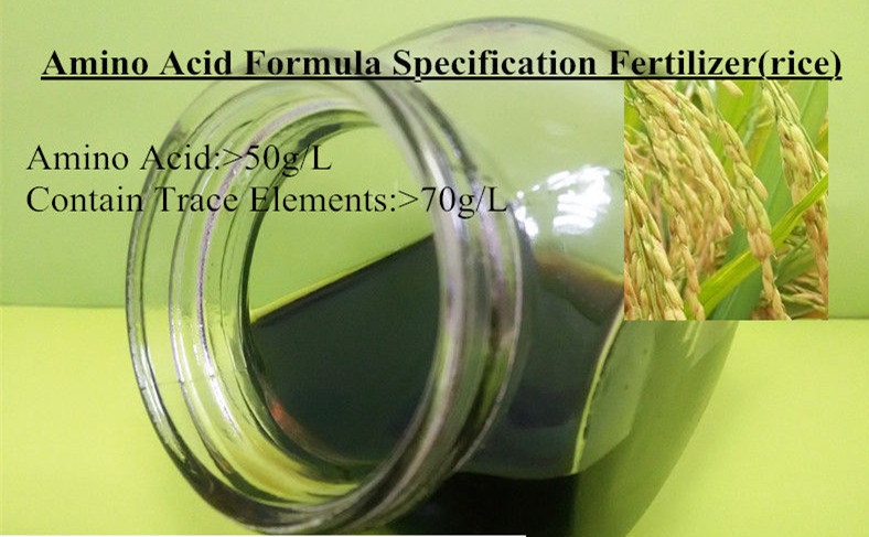 Amino Acid Formula Specification Fertilizer (Rice)