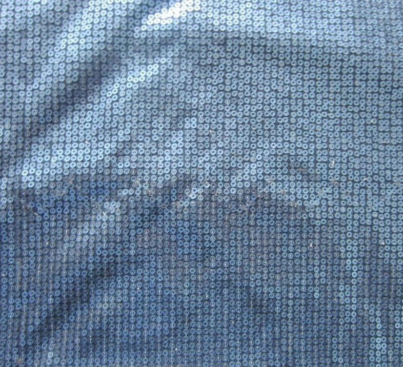 Poly Mesh with Sequin Embroidery