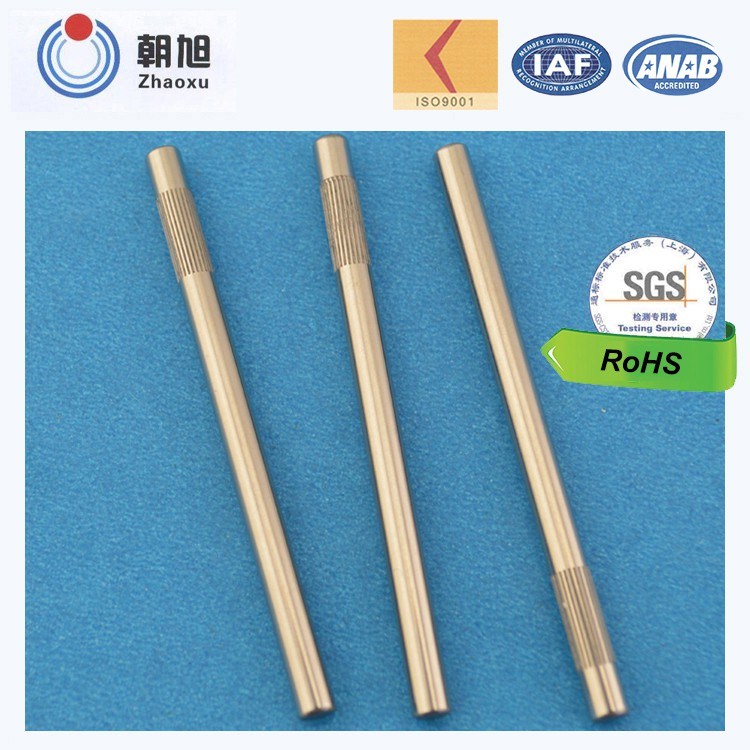 China Supplier Non-Standard Custom Made Magnetic Rotor Shaft
