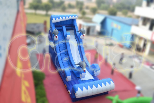 2015 New Design Inflatable Sea Slide Chsl251