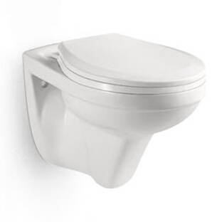 Concealed Cistern Wall Hung Toilets for Indian Market (YB2396)