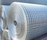 Wire Mesh