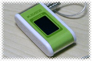 MP3 Player (D-100)