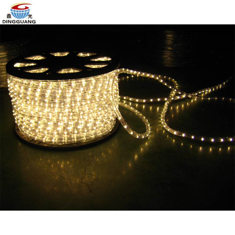 Round 2 Wires LED Decoration Rope Lighting