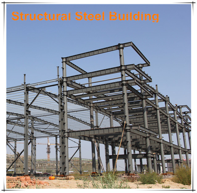 Construction Design and Low Cost Steel Building Warehouse Building