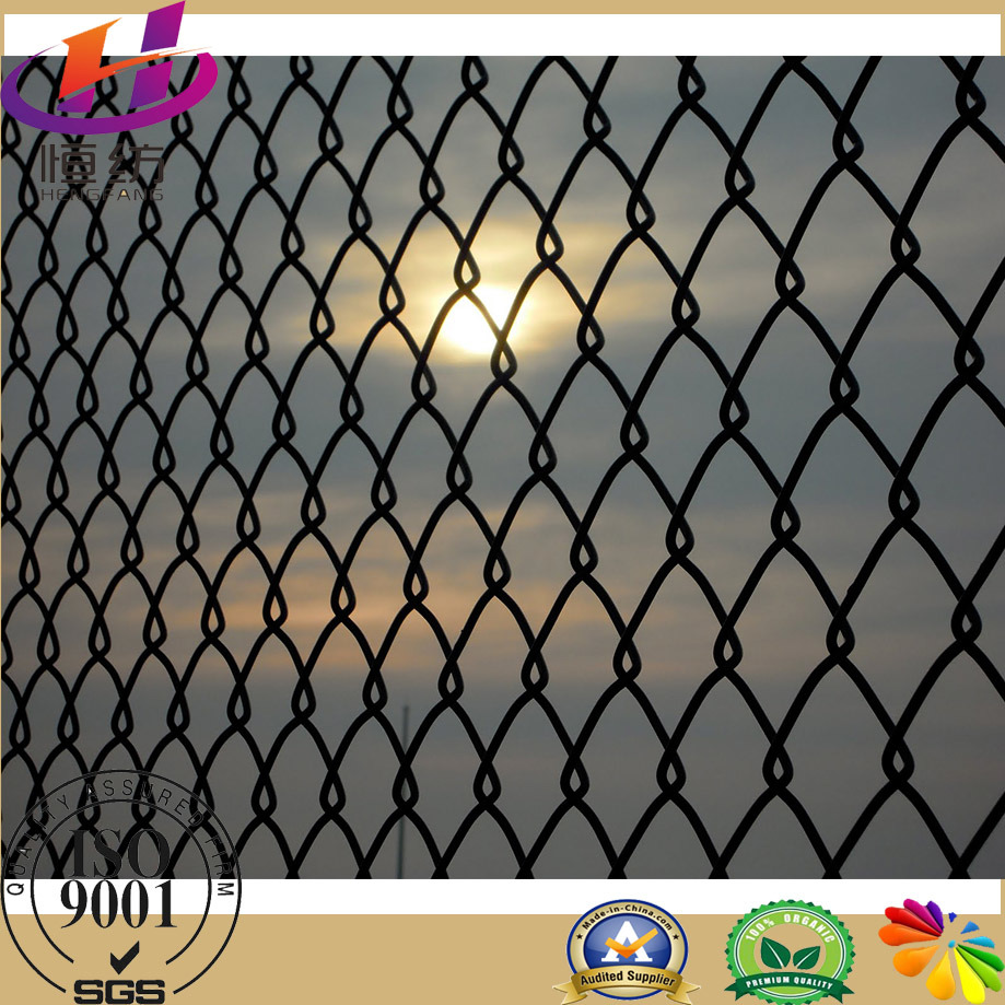 Wire Mesh Netting Used in Construction
