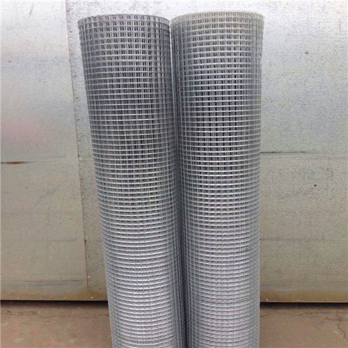 China Galvanized Welded Wire Mesh / Welded Wire Mesh