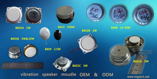 Resonant Module and Vibration Speaker