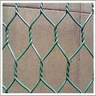 Hexagonal Wire Mesh